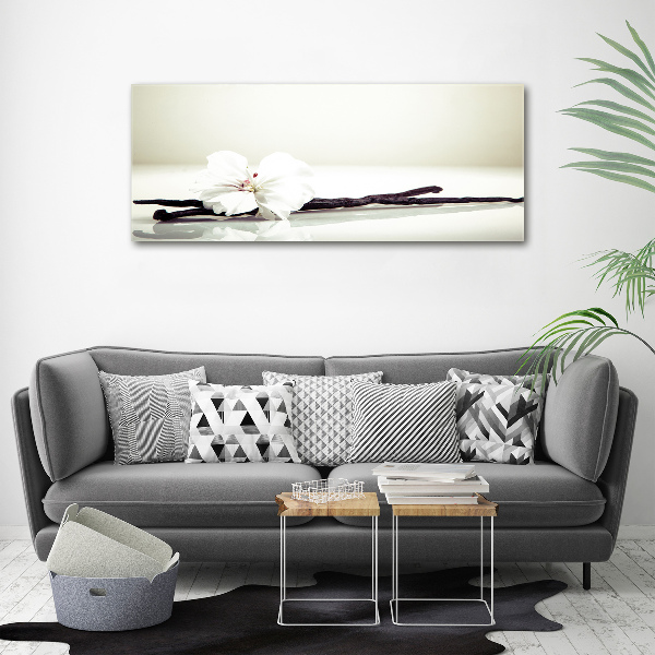 Foto op canvas Vanillestokje