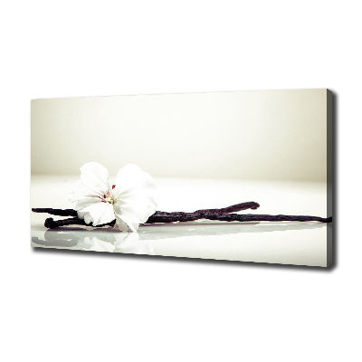 Foto op canvas Vanillestokje