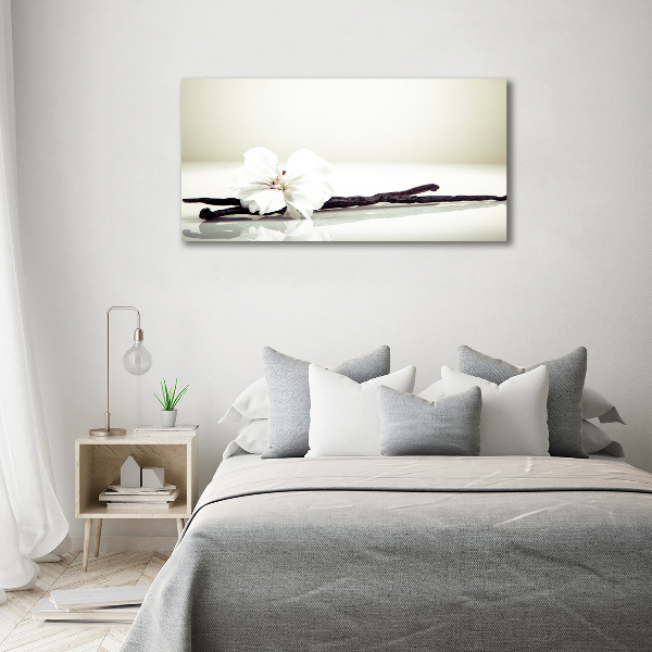 Foto op canvas Vanillestokje