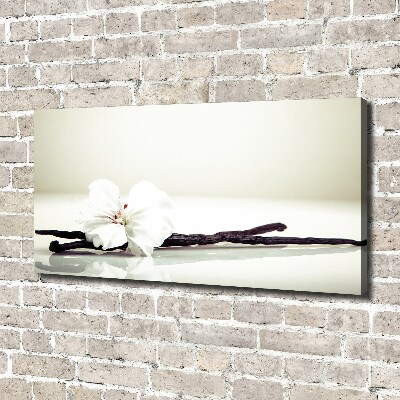 Foto op canvas Vanillestokje