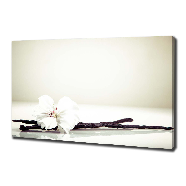 Foto op canvas Vanillestokje