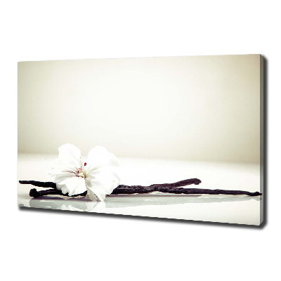 Foto op canvas Vanillestokje