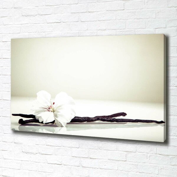 Foto op canvas Vanillestokje