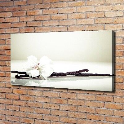 Foto op canvas Vanillestokje