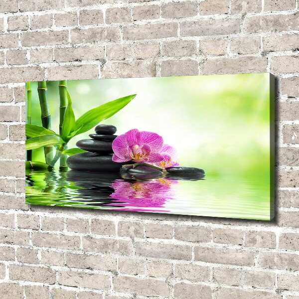 Canvas foto Orchidee