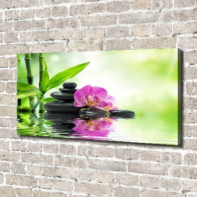 Canvas foto Orchidee