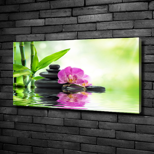 Canvas foto Orchidee