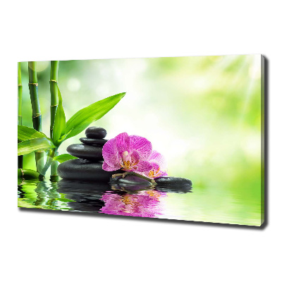 Canvas foto Orchidee