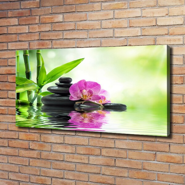 Canvas foto Orchidee