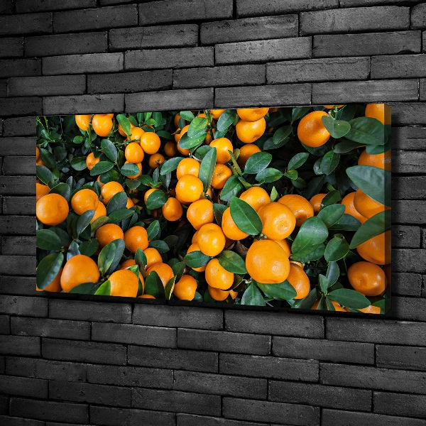 Canvas schilderij Mandarijnen