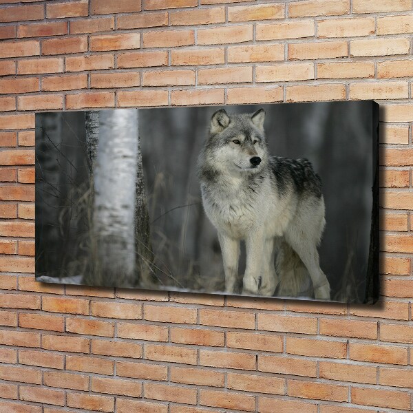 Schilderij op canvas Grijze wolf