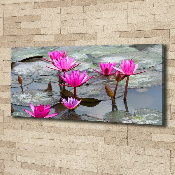 Foto canvas Lotusbloem