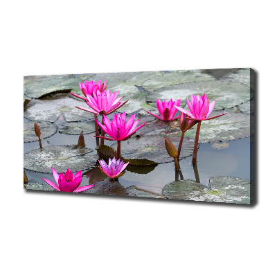 Foto canvas Lotusbloem