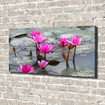 Foto canvas Lotusbloem