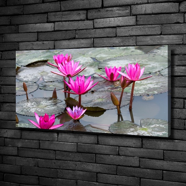 Foto canvas Lotusbloem