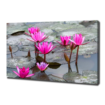 Foto canvas Lotusbloem