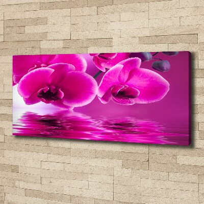 Foto op canvas Orchidee