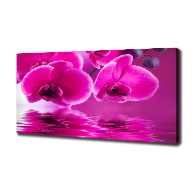 Foto op canvas Orchidee