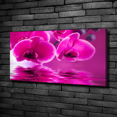 Foto op canvas Orchidee