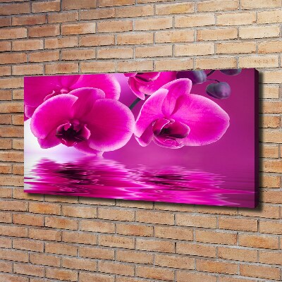Foto op canvas Orchidee
