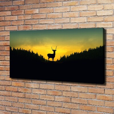 Foto canvas Hert