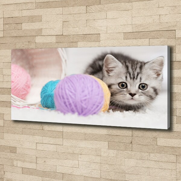 Foto op canvas Kat met strengen