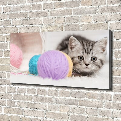 Foto op canvas Kat met strengen