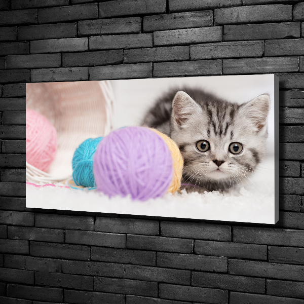 Foto op canvas Kat met strengen