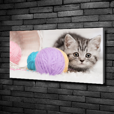 Foto op canvas Kat met strengen