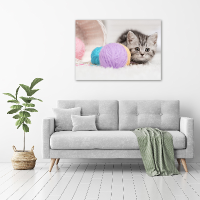 Foto op canvas Kat met strengen