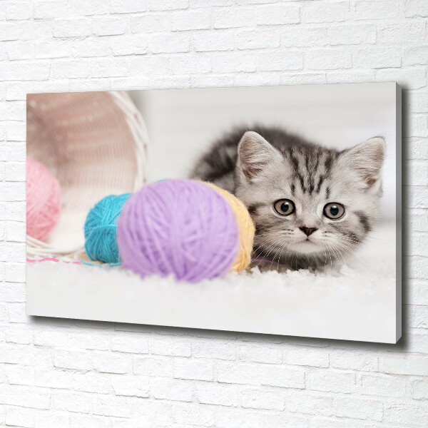 Foto op canvas Kat met strengen