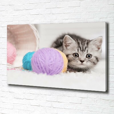 Foto op canvas Kat met strengen