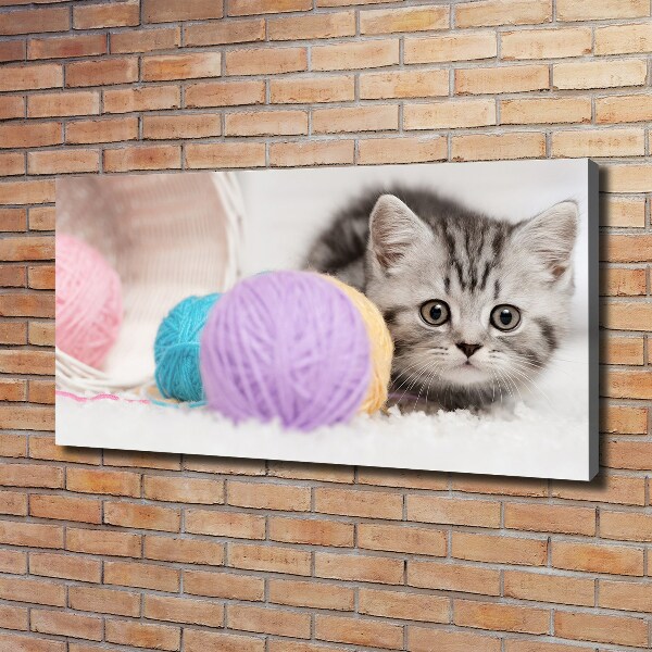 Foto op canvas Kat met strengen