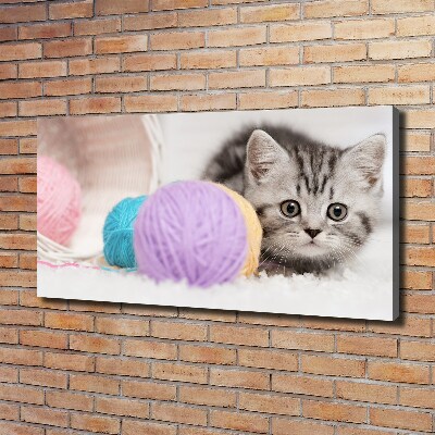 Foto op canvas Kat met strengen