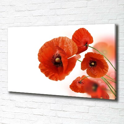 Schilderij op canvas Klaprozen