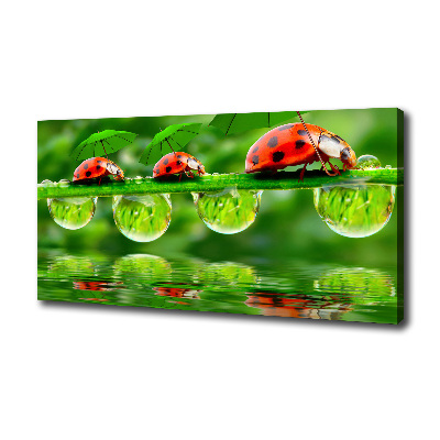 Canvas foto paraplu's met lieveheersbeestjesmotief