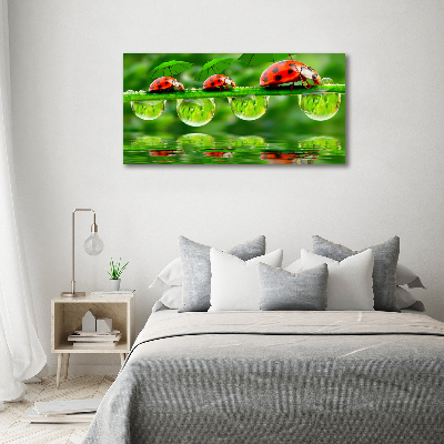 Canvas foto paraplu's met lieveheersbeestjesmotief