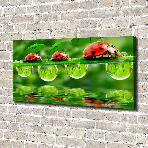 Canvas foto paraplu's met lieveheersbeestjesmotief