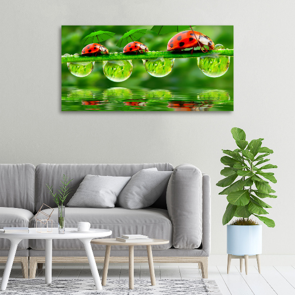 Canvas foto paraplu's met lieveheersbeestjesmotief