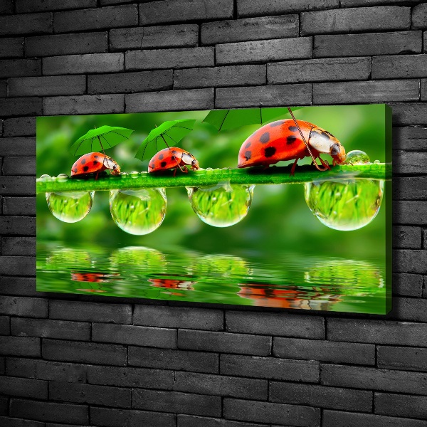 Canvas foto paraplu's met lieveheersbeestjesmotief