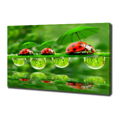 Canvas foto paraplu's met lieveheersbeestjesmotief