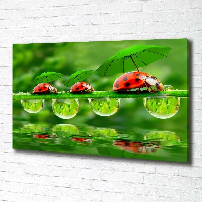 Canvas foto paraplu's met lieveheersbeestjesmotief