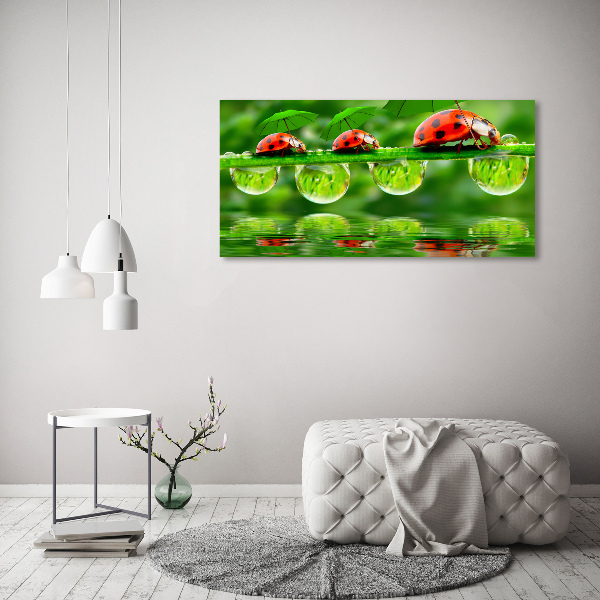 Canvas foto paraplu's met lieveheersbeestjesmotief