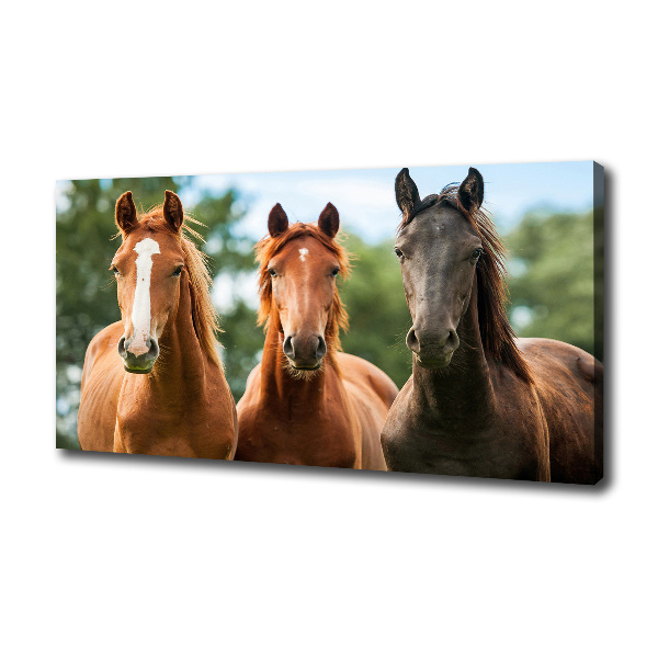 Canvas schilderij Drie paarden