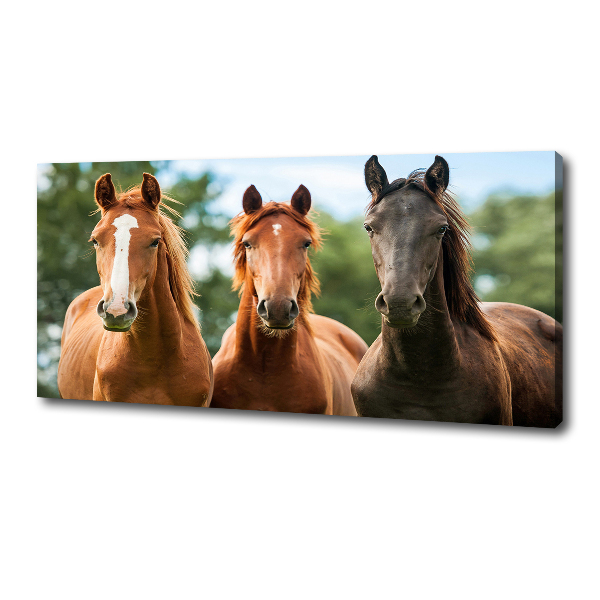Canvas schilderij Drie paarden