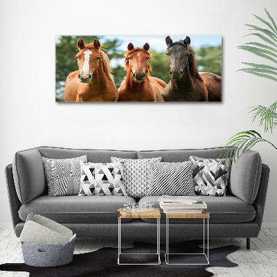 Canvas schilderij Drie paarden