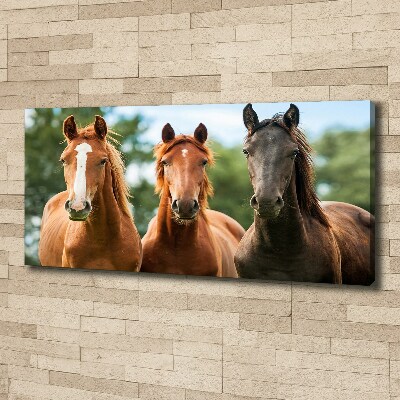 Canvas schilderij Drie paarden