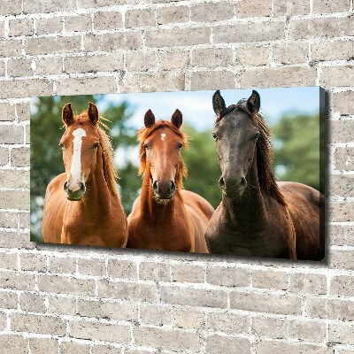 Canvas schilderij Drie paarden