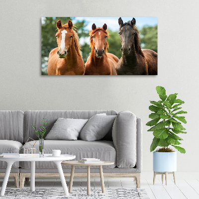Canvas schilderij Drie paarden