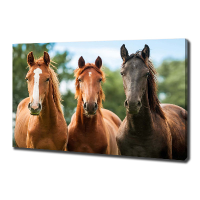 Canvas schilderij Drie paarden